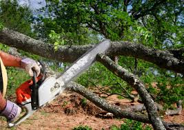 Best Lawn Grading and Leveling  in Jensen Beach, FL